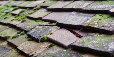 Purslow roof repair costs